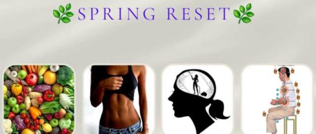 afis spring reset - Copy
