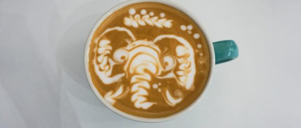 Bucharest coffee festival