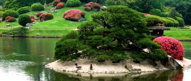 Gradina japoneza